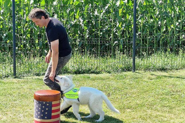 Ein blinder Mann trainiert seinen Blindenhund auf der Wiese