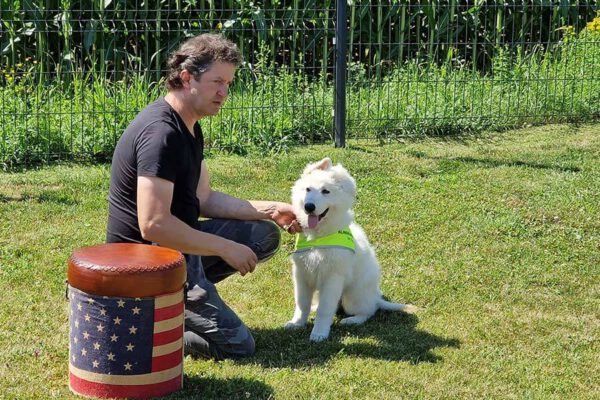 Wolfgang und sein Blindenhund Falco beim Training